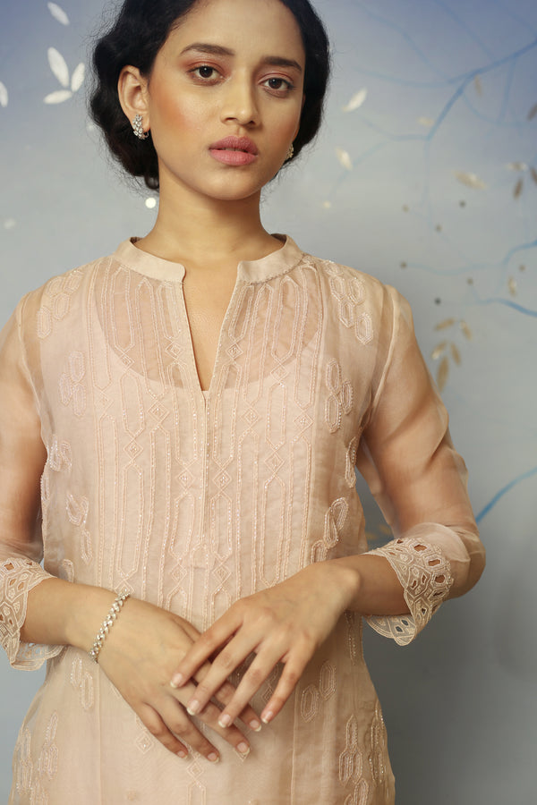 Nude Pink 3 pannelled kurta set